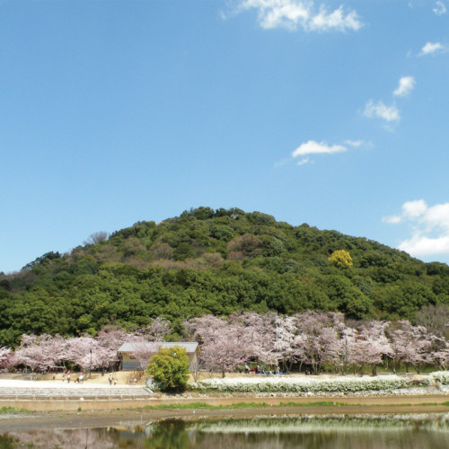 Les Trois monts du Yamato - Miminashi-yama