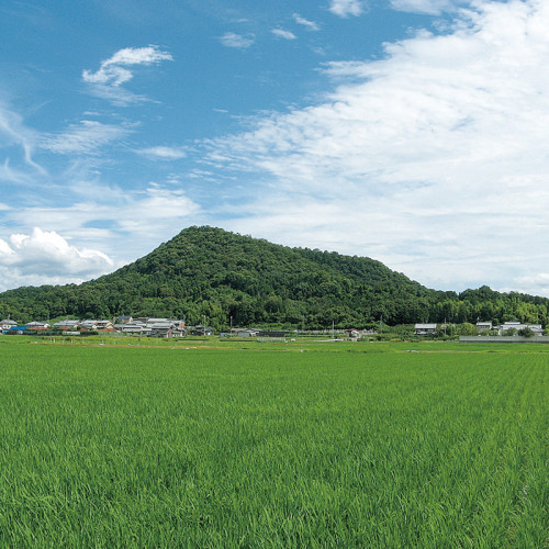 Les Trois monts du Yamato – Mont Unebi-yama