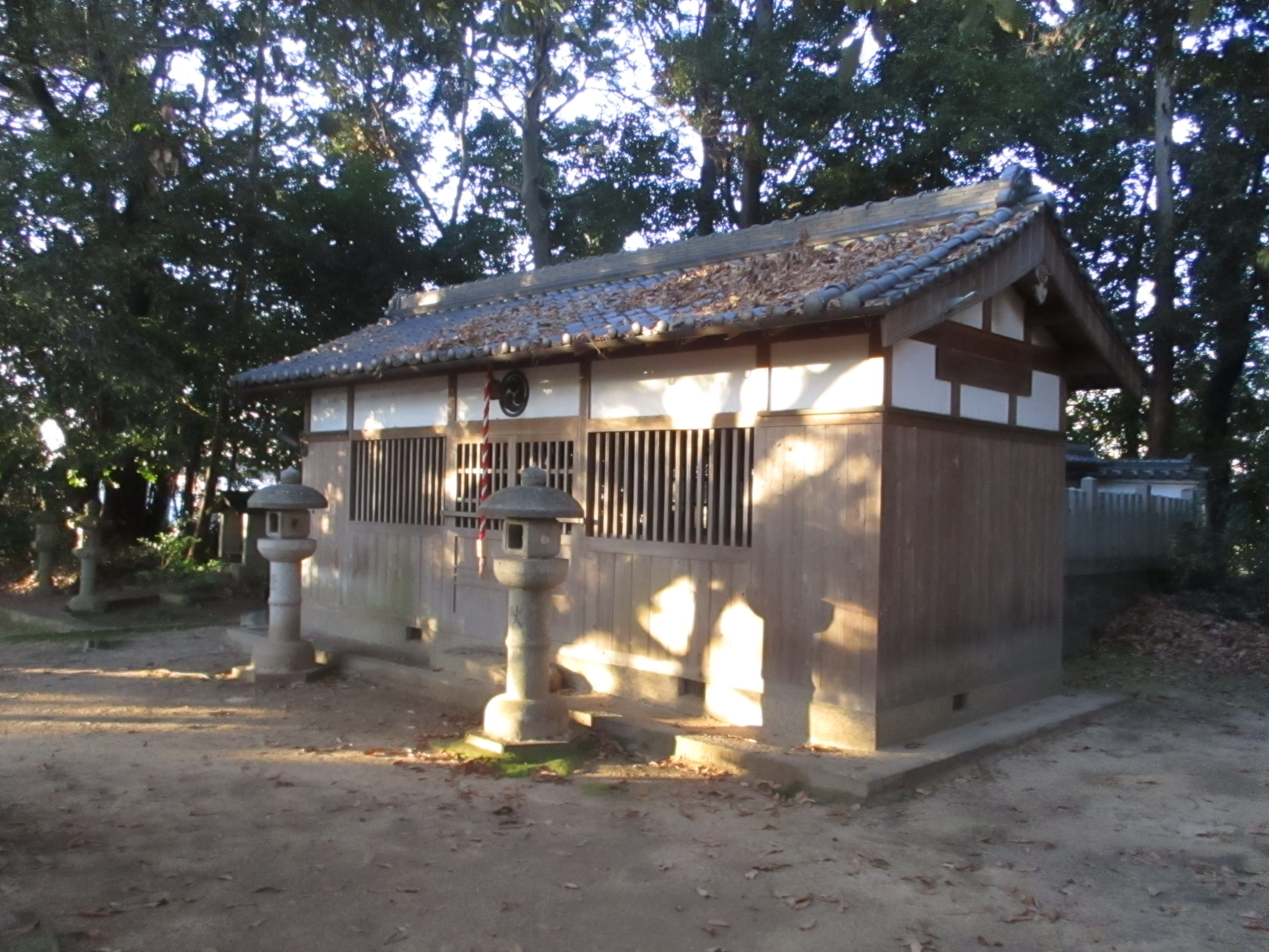 神社に行かなくちゃ！2/その他小物 オンラインショップ限定】青竜 コインケース | 所作 Shosa