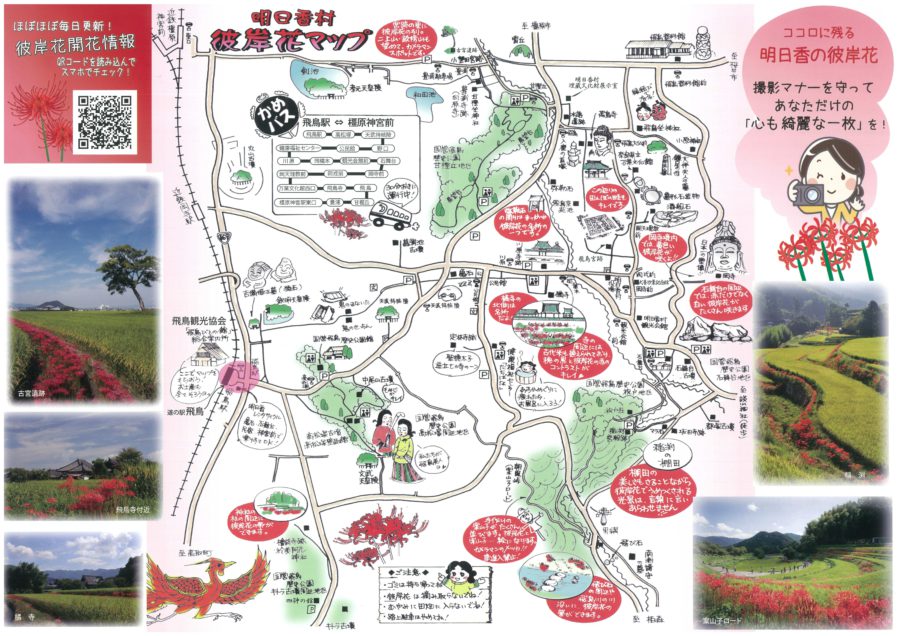★明日香村彼岸花マップ★ 日本国創成のとき〜飛鳥を翔た女性たち〜 飛鳥女史紀行 ★明日香村彼岸花マップ★ 日本国創成のとき〜飛鳥を翔た女性たち〜 飛鳥女史紀行